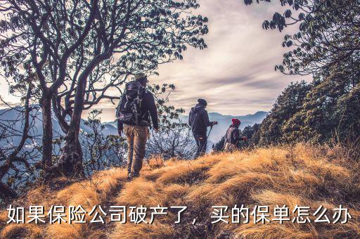 如果保險公司破產(chǎn)了，買的保單怎么辦