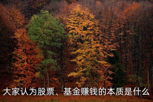 大家認(rèn)為股票、基金賺錢的本質(zhì)是什么