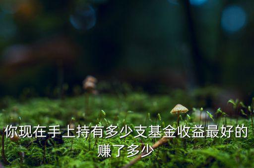 中國有多少支基金,你現在手上持有多少支基金