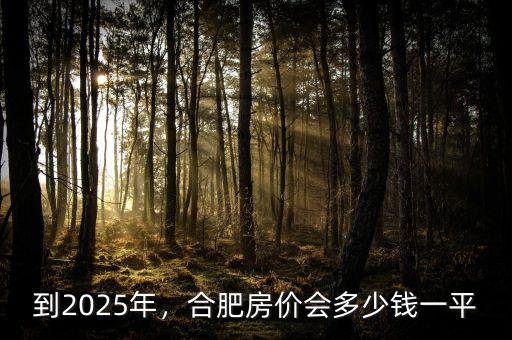 到2025年，合肥房價會多少錢一平