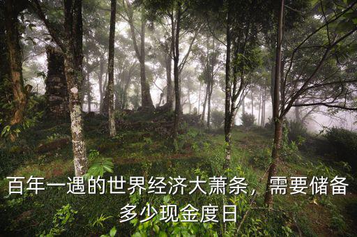 百年一遇的世界經(jīng)濟(jì)大蕭條，需要儲(chǔ)備多少現(xiàn)金度日