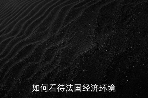 如何看待法國經濟環(huán)境