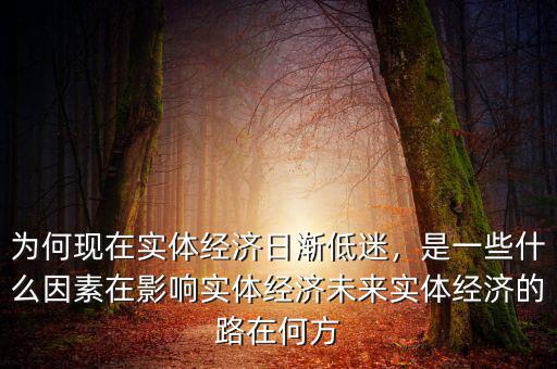 為何現(xiàn)在實體經(jīng)濟日漸低迷，是一些什么因素在影響實體經(jīng)濟未來實體經(jīng)濟的路在何方