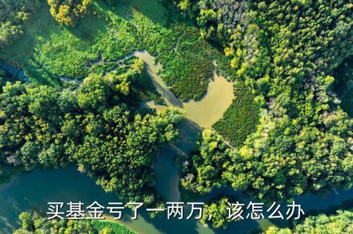 買基金虧了一兩萬，該怎么辦