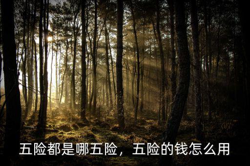 五險(xiǎn)都是哪五險(xiǎn)，五險(xiǎn)的錢怎么用