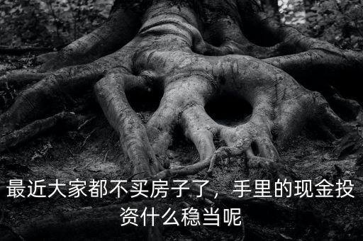 最近大家都不買房子了，手里的現(xiàn)金投資什么穩(wěn)當(dāng)呢