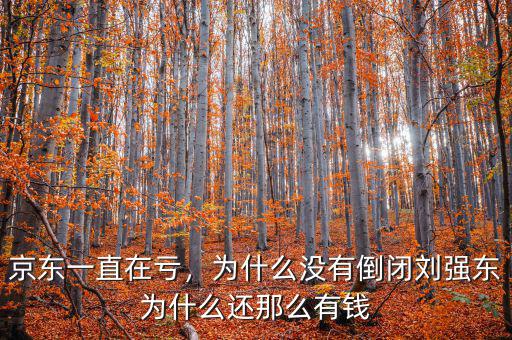 京東一直在虧，為什么沒有倒閉劉強(qiáng)東為什么還那么有錢