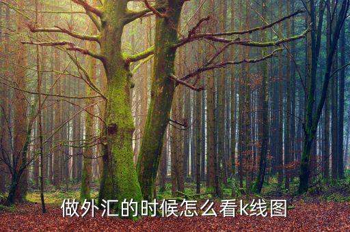做外匯的時(shí)候怎么看k線(xiàn)圖