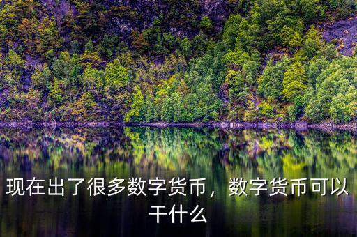 現(xiàn)在出了很多數(shù)字貨幣，數(shù)字貨幣可以干什么