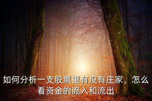 如何分析一支股票里有沒有莊家，怎么看資金的流入和流出