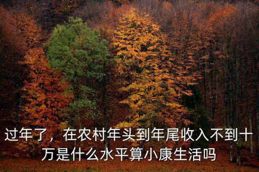 過年了，在農(nóng)村年頭到年尾收入不到十萬是什么水平算小康生活嗎