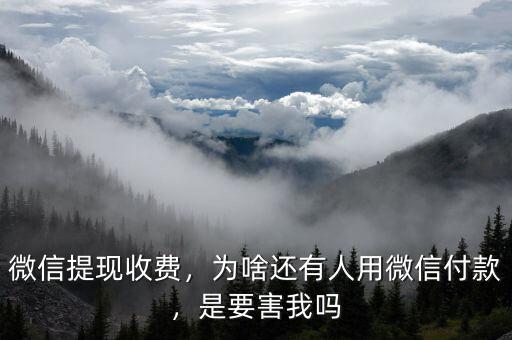 微信提現(xiàn)收費(fèi)，為啥還有人用微信付款，是要害我嗎