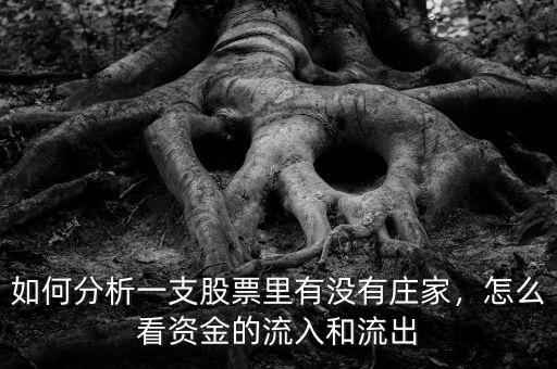 如何分析一支股票里有沒有莊家，怎么看資金的流入和流出