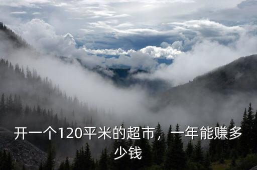 開(kāi)一個(gè)120平米的超市，一年能賺多少錢