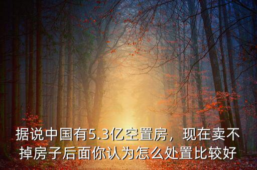 據(jù)說中國有5.3億空置房，現(xiàn)在賣不掉房子后面你認(rèn)為怎么處置比較好