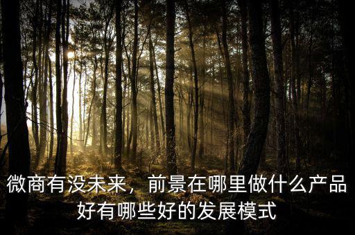 微商有沒未來(lái)，前景在哪里做什么產(chǎn)品好有哪些好的發(fā)展模式