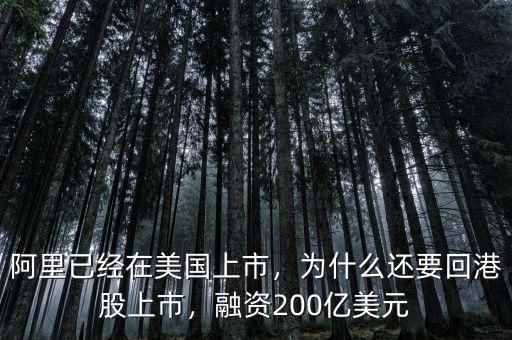 阿里已經(jīng)在美國上市，為什么還要回港股上市，融資200億美元