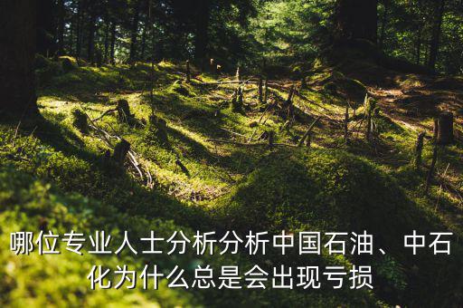 哪位專(zhuān)業(yè)人士分析分析中國(guó)石油、中石化為什么總是會(huì)出現(xiàn)虧損