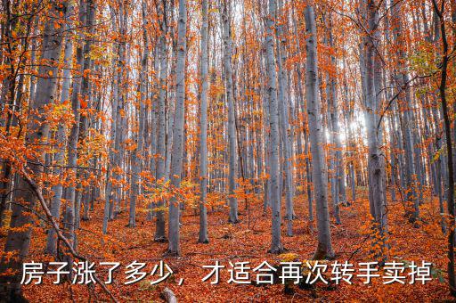 房子漲了多少，才適合再次轉(zhuǎn)手賣掉
