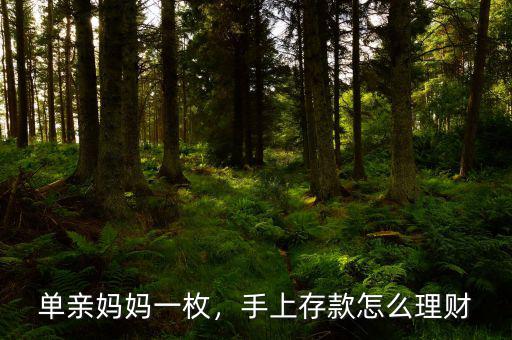 單親媽媽一枚，手上存款怎么理財