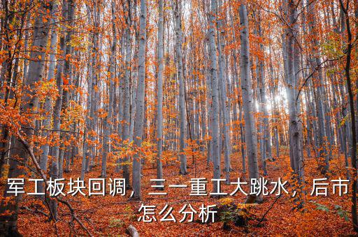 軍工板塊回調(diào)，三一重工大跳水，后市怎么分析