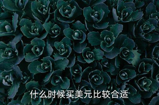 什么時(shí)候買(mǎi)美元比較合適