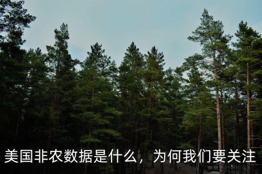 美國(guó)非農(nóng)數(shù)據(jù)是什么，為何我們要關(guān)注