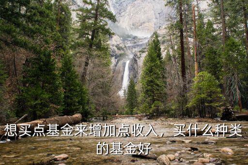 想買點(diǎn)基金來增加點(diǎn)收入，買什么種類的基金好
