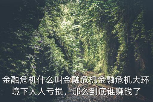 金融危機(jī)什么叫金融危機(jī)金融危機(jī)大環(huán)境下人人虧損，那么到底誰賺錢了