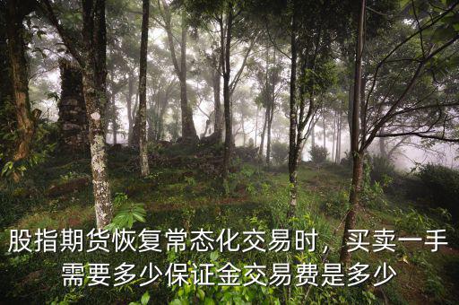 股指期貨恢復(fù)常態(tài)化交易時(shí)，買賣一手需要多少保證金交易費(fèi)是多少