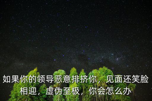 如果你的領(lǐng)導(dǎo)惡意排擠你，見(jiàn)面還笑臉相迎，虛偽至極，你會(huì)怎么辦