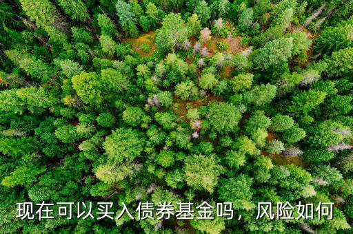 現(xiàn)在可以買入債券基金嗎，風(fēng)險如何