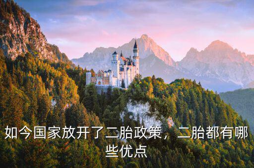 如今國(guó)家放開(kāi)了二胎政策，二胎都有哪些優(yōu)點(diǎn)