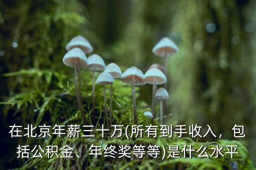 在北京年薪三十萬(wàn)(所有到手收入，包括公積金、年終獎(jiǎng)等等)是什么水平