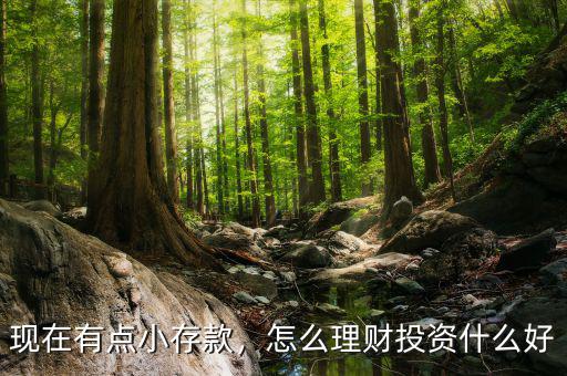現(xiàn)在有點(diǎn)小存款，怎么理財(cái)投資什么好