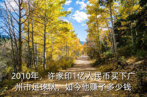 2010年，許家印1億人民幣買下廣州市足球隊，如今他賺了多少錢