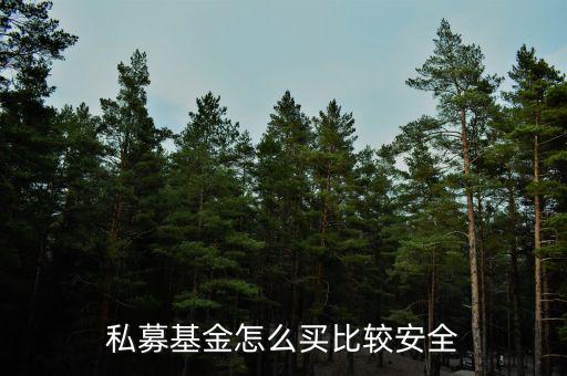私募基金怎么買(mǎi)比較安全