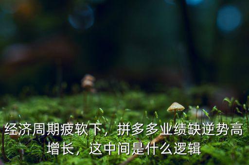 經(jīng)濟周期疲軟下，拼多多業(yè)績?nèi)蹦鎰莞咴鲩L，這中間是什么邏輯