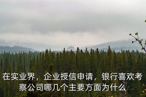 在實(shí)業(yè)界，企業(yè)授信申請(qǐng)，銀行喜歡考察公司哪幾個(gè)主要方面為什么