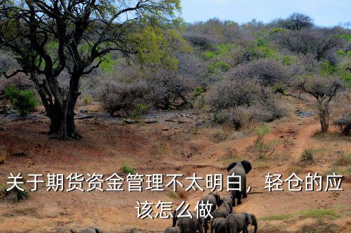 關于期貨資金管理不太明白，輕倉的應該怎么做