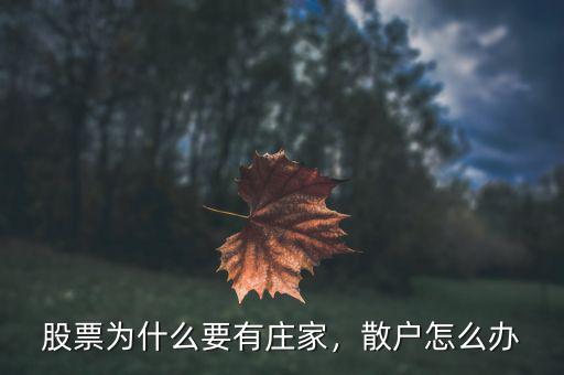 股票為什么要有莊家，散戶怎么辦