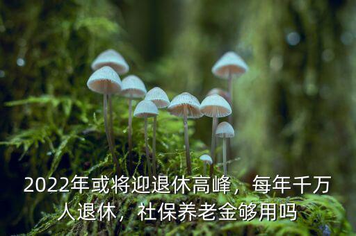2022年或?qū)⒂诵莞叻?，每年千萬(wàn)人退休，社保養(yǎng)老金夠用嗎