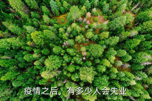 中國會(huì)有多少人失業(yè),電商關(guān)閉會(huì)有多少人失業(yè)