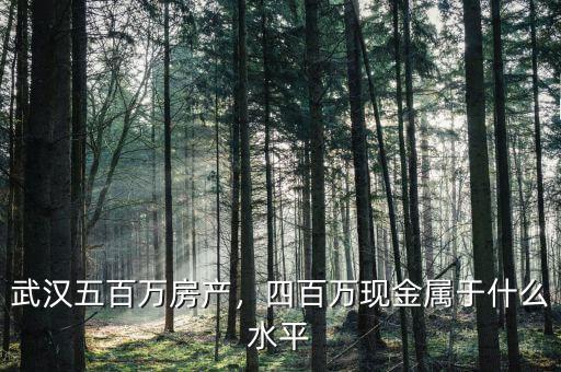 武漢五百萬房產(chǎn)，四百萬現(xiàn)金屬于什么水平