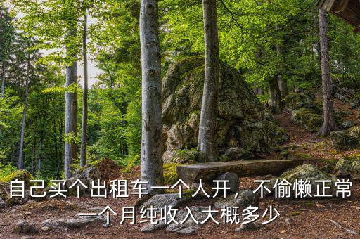 自己買個出租車一個人開，不偷懶正常一個月純收入大概多少