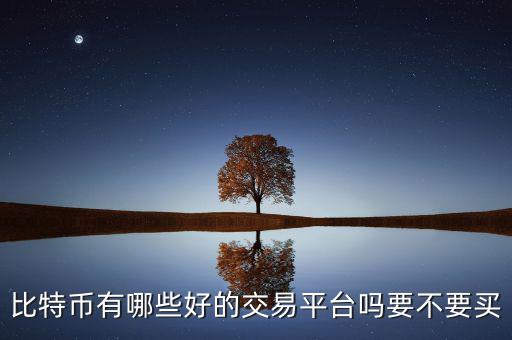 比特幣有哪些好的交易平臺(tái)嗎要不要買(mǎi)