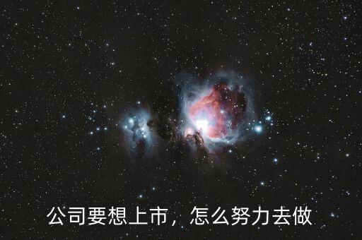 公司要想上市，怎么努力去做