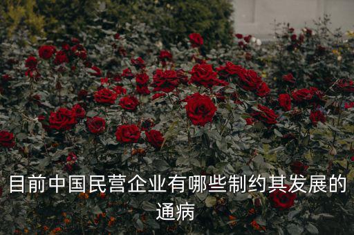 為什么中國對(duì)民營(yíng)企業(yè)有很多限制,民營(yíng)企業(yè)對(duì)年齡都有限制