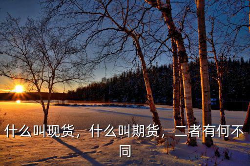 什么叫現(xiàn)貨，什么叫期貨，二者有何不同