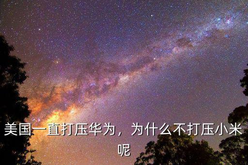 美國一直打壓華為，為什么不打壓小米呢